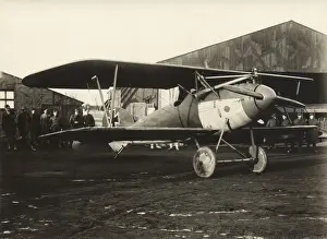 Albatros D. V
