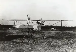 Albatros D. V