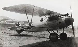Albatros D. V