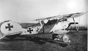 German Albatros, 1917