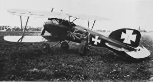 Albatros Prints: Albatros DIII, aft, (on the ground), with Lt Ludwig Han