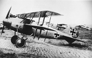 German Albatros, 1917