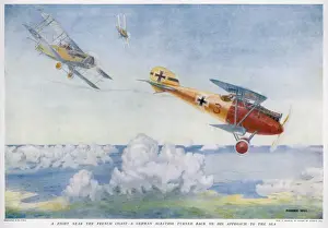 Pursued Prints: Albatross Pursued by Raf