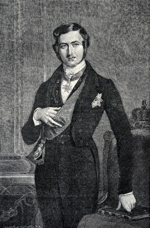 Institucional Collection: Albert of Saxe-Coburg and Gotha (1819-1861). Prince