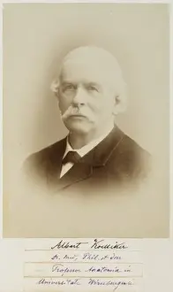 Albert von Kolliker