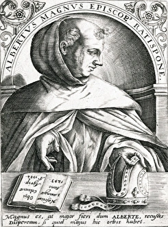 Albertus Magnus