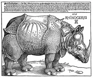 Images Dated 2nd October 2007: Albrecht Durers Rhinoceros