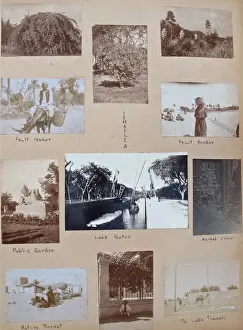 Album - Assorted photos and postcards of Egypt & Palestine
