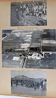 Album - Assorted photos and postcards of Egypt & Palestine