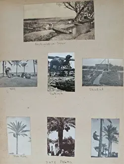 Album - Assorted photos and postcards of Egypt & Palestine
