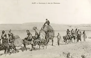Famed Prints: Aleppo, Syria - Dancer travelling by Camel