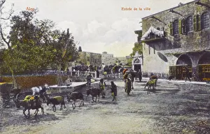 Aleppo, Syria - Entrance to the Town