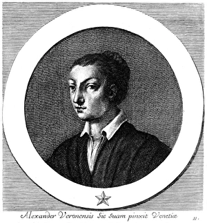 Alessandro Gallery: Alessandro Turchi