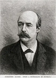 Alexander Agassiz