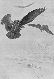 Images Dated 27th September 2012: Alexander the Greats army crossing Baluchistan, 325BC