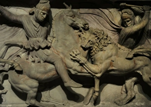 Sarcophagus/Alexander