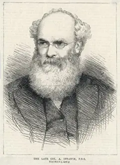 Alexander Strange