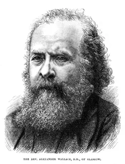 Alexander Wallace