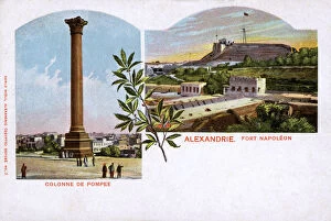 Egypt Collection: Alexandria, Egypt - Pompeys Column and Fort Napoleon