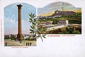 Images Dated 30th May 2018: Alexandria, Egypt - Pompeys Column and Fort Napoleon