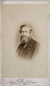 Alfred Russel Wallace (1823-1913)
