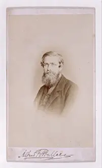Alfred Russel Wallace (1823-1913)