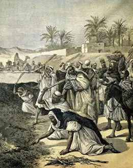 Algerians Gallery: Algeria (1891). Algerians fighting the locust