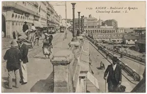Algeria / Algiers C1905