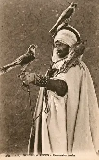Handling Prints: Algeria - Arabian Falconer