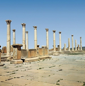 Algerians Gallery: ALGERIA. BATNA. Timgad. Colonnade