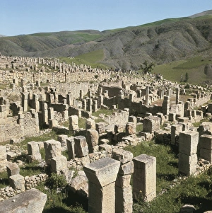 Algerians Gallery: ALGERIA. CONSTANTINE. Jamilah. Cuicul