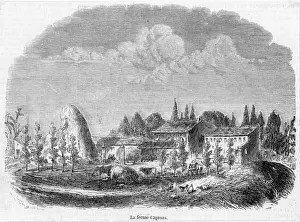 Settler Prints: Algeria Farm