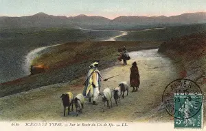 Algeria - Nomadic goat herders crossing the Col de Sfa