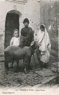 Algerian Prints: Algeria - North Africa - Young Shepherd with his sheep