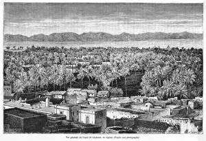 Algeria Oasis
