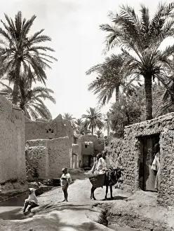 Biskra Prints: Algeria, a street in old Biskra