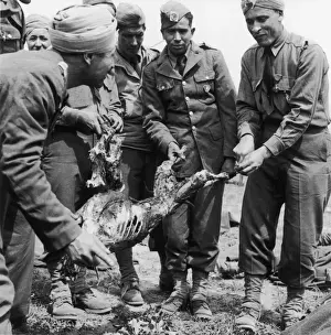 Algerian French troops WWII