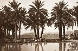 Nomads Prints: Algerian Oasis - Biskra