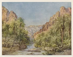 Abundance Gallery: Algerian Scenery