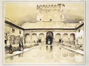 The Alhambra of Granada. Arrayanes or Myrtle