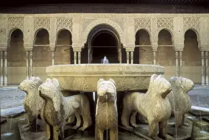 Alhambra. SPAIN. ANDALUSIA. Granada. Alhambra