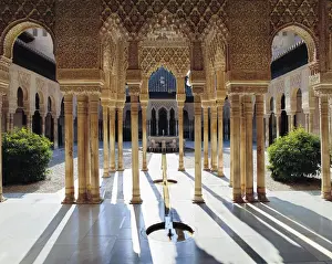 Alhambra. SPAIN. ANDALUSIA. Granada. Alhambra