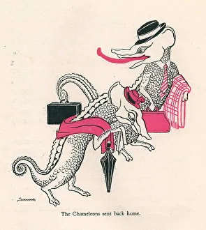 Susannah Prints: Alican Land Chameleons