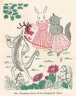 Susannah Prints: Alican Land, Mrs. Chameleon