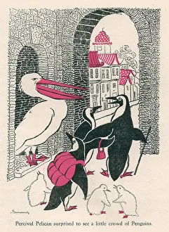 Susannah Prints: Alican Land, Percival Pelican