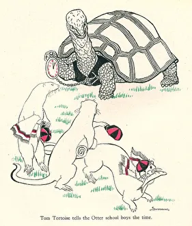 Schoolboys Prints: Alican Land, Tom Tortoise
