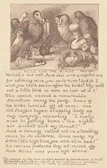 Fuller Prints: Alice & the birds