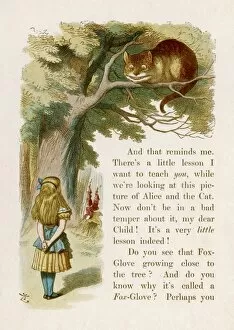 Cheshire Collection: Alice and the Cheshire Cat