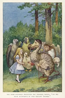 1865 Collection: Alice and the Dodo