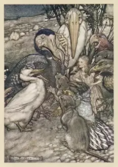 Alice & the Dodo
